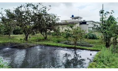 Venta de Hacienda en el Sector Santo Domingo, a 16 km de la Ciudad.