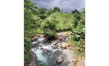 Venta de Hacienda en el Sector Santo Domingo, a 16 km de la Ciudad.