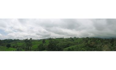 Venta de Hacienda en el Sector Santo Domingo, a 16 km de la Ciudad.