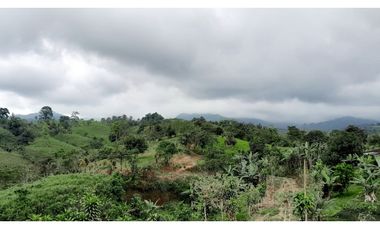 Venta de Hacienda en el Sector Santo Domingo, a 16 km de la Ciudad.