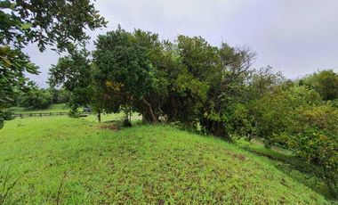 Parcela en venta en FUTRONO