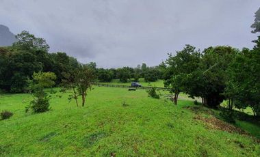 Parcela en venta en FUTRONO