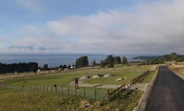 Parcela en venta  en PUERTO VARAS
