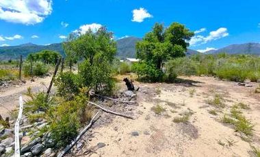 Parcela en venta en ANTUCO