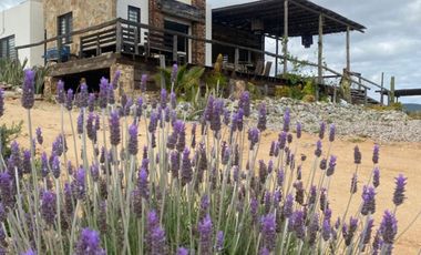 CASA EN RENTA EN EL CORAZON DEL VALLE DE GUADALUPE