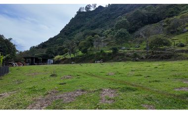 venta finca Copacabana vereda el Zarzal Antioquia