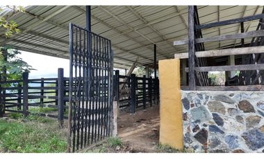 venta finca Copacabana vereda el Zarzal Antioquia