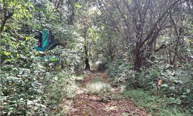 VENDO FINCA DE 154HECTAREAS Y 900M.S.N.M. CON RIOS AGUA VIVA