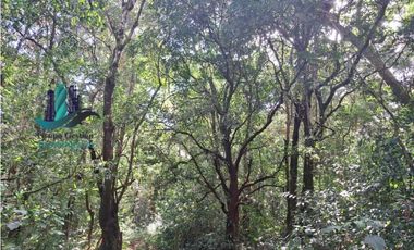 VENDO FINCA DE 154HECTAREAS Y 900M.S.N.M. CON RIOS AGUA VIVA