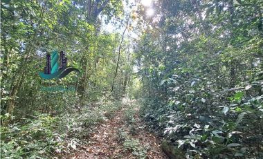 VENDO FINCA DE 154HECTAREAS Y 900M.S.N.M. CON RIOS AGUA VIVA