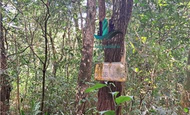 VENDO FINCA DE 154HECTAREAS Y 900M.S.N.M. CON RIOS AGUA VIVA