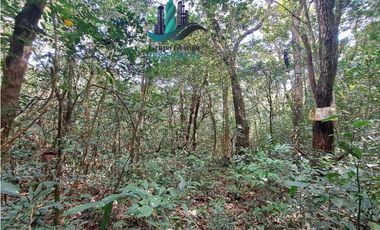 VENDO FINCA DE 154HECTAREAS Y 900M.S.N.M. CON RIOS AGUA VIVA