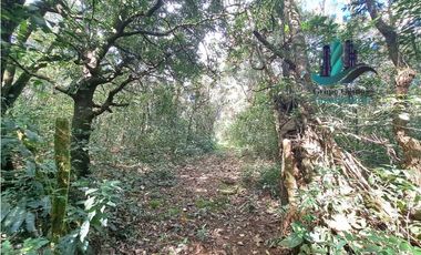 VENDO FINCA DE 154HECTAREAS Y 900M.S.N.M. CON RIOS AGUA VIVA