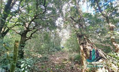VENDO FINCA DE 154HECTAREAS Y 900M.S.N.M. CON RIOS AGUA VIVA