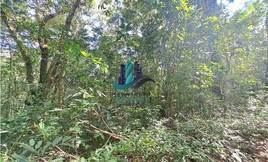 VENDO FINCA DE 154HECTAREAS Y 900M.S.N.M. CON RIOS AGUA VIVA