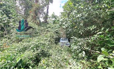 VENDO FINCA DE 154HECTAREAS Y 900M.S.N.M. CON RIOS AGUA VIVA