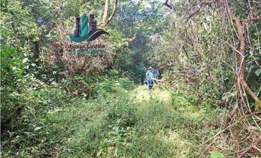 VENDO FINCA DE 154HECTAREAS Y 900M.S.N.M. CON RIOS AGUA VIVA
