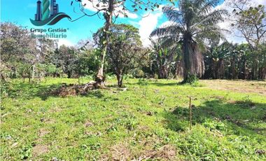VENDO TERRENO DE 5390mts TOPOGRAFIA PLANA