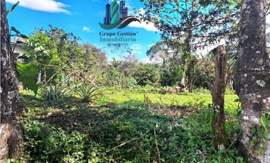 VENDO TERRENO DE 5390mts TOPOGRAFIA PLANA