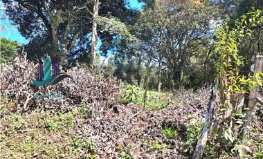 VENDO TERRENO DE 5390mts TOPOGRAFIA PLANA