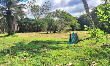 VENDO TERRENO DE 5390mts TOPOGRAFIA PLANA