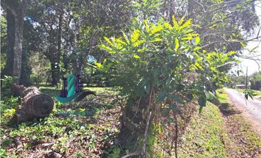 VENDO TERRENO DE 5390mts TOPOGRAFIA PLANA
