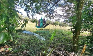 VENDO UNA HECTAREA + CON ACCESO A TODOS LOS SERVICIOS BASICOS
