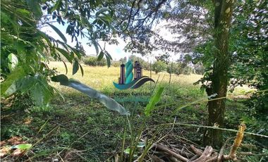 VENDO UNA HECTAREA + CON ACCESO A TODOS LOS SERVICIOS BASICOS