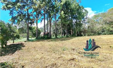 VENDO LOTE EN POTRERILLOS ARRIBA 1432MTS