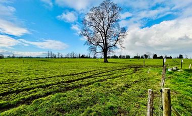 Parcela en venta  en OSORNO