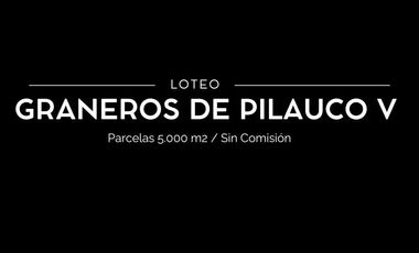 Parcela en venta  en OSORNO