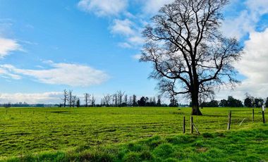 Parcela en venta en OSORNO