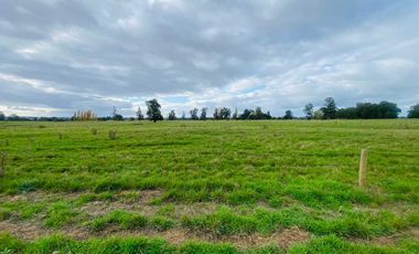 Parcela en venta en OSORNO