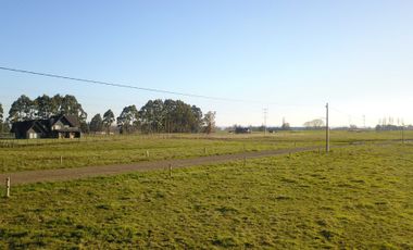 Parcela en venta en OSORNO
