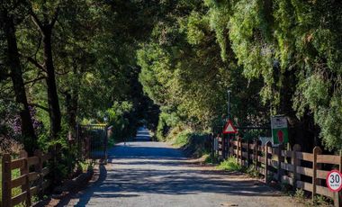 Parcela en venta en OSORNO