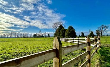 Parcela en venta en OSORNO