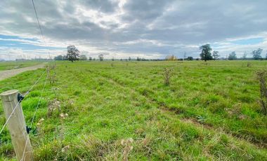 Parcela en venta en OSORNO