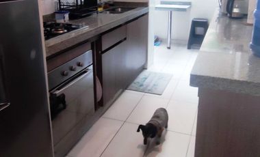 Departamento en venta en ÑUÑOA