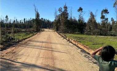 SE VENDE TERRENO 5.000 MTS2 EN CARTAGENA, LITUECHE