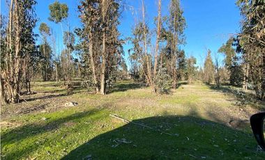 SE VENDE TERRENO 5.000 MTS2 EN CARTAGENA, LITUECHE