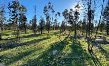 SE VENDE TERRENO 5.000 MTS2 EN CARTAGENA, LITUECHE