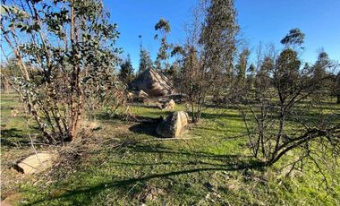 SE VENDE TERRENO 5.000 MTS2 EN CARTAGENA, LITUECHE