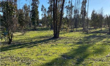 SE VENDE TERRENO 5.000 MTS2 EN CARTAGENA, LITUECHE