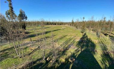 SE VENDE TERRENO 5.000 MTS2 EN CARTAGENA, LITUECHE