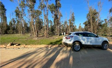 SE VENDE TERRENO 5.000 MTS2 EN CARTAGENA, LITUECHE