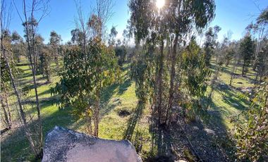 SE VENDE TERRENO 5.000 MTS2 EN CARTAGENA, LITUECHE