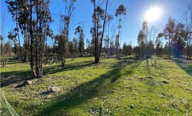 SE VENDE TERRENO 5.000 MTS2 EN CARTAGENA, LITUECHE