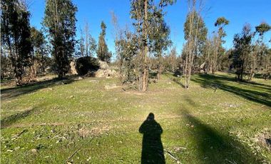 SE VENDE TERRENO 5.000 MTS2 EN CARTAGENA, LITUECHE