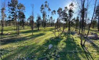 SE VENDE TERRENO 5.000 MTS2 EN CARTAGENA, LITUECHE