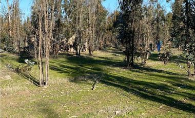 SE VENDE TERRENO 5.000 MTS2 EN CARTAGENA, LITUECHE